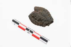 Foto von Glasmandelperle (NHMW-PRAE-025697)